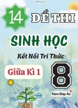 Tuyển tập 14 Đề thi giữa Kì 1 môn Sinh Học 8 sách Kết Nối Tri Thức (Kèm đáp án)